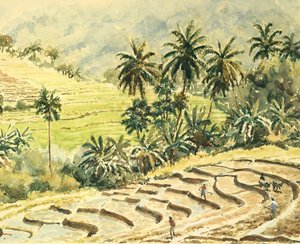 741 Dunhinda, preparando los campos de arroz