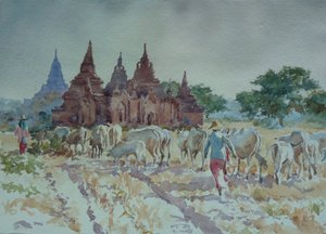 Bagan, pastoreo de regreso a casa