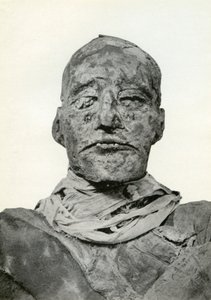 Cabeza de la momia de Ramsés III, faraón egipcio de la 20ª dinastía, c1156 a.C.