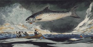 Un buen estanque, río Saguenay, 1895 de Winslow Homer