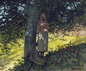 Un lugar sombreado, Houghton Farm, 1878 de Winslow Homer