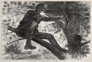  de Winslow Homer