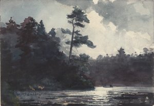 Lago Adirondack de Winslow Homer