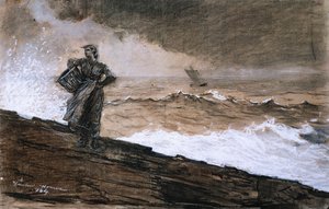 En alta mar, 1884 de Winslow Homer