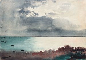Tormenta, costa de Maine