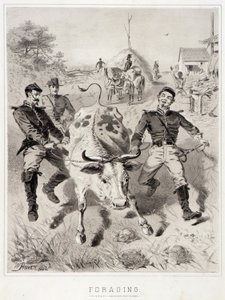 Bocetos de campaña: En busca de comida de Winslow Homer