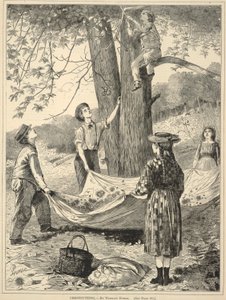 Chestnutting, de Every Saturday: An Illustrated Journal of Choice Reading, 29 de octubre de 1870. de Winslow Homer