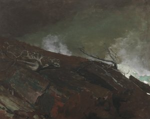 Costa de Maine, 1893 de Winslow Homer