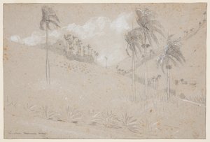 Ladera cubana