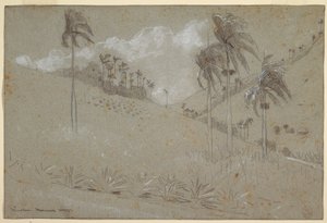 Dibujo, Ladera de Cuba, 1885 de Winslow Homer