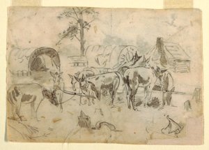 Dibujo, Mulas descansando atadas a los carros, 1862
