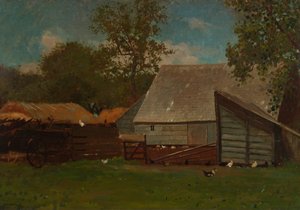 Corral con patos y gallinas
