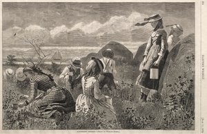 Recogiendo bayas, 1874