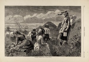 Gathering Berries, de Harper