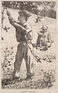 Manzanas verdes, 1868