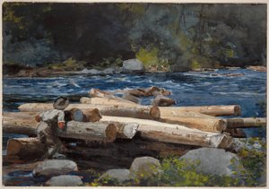 Río Hudson de Winslow Homer