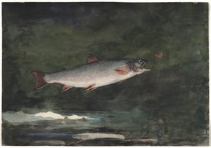 Trucha saltando, 1889 de Winslow Homer