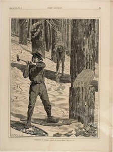 La madera en el invierno de Winslow Homer
