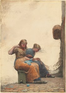 Reparando las redes de Winslow Homer