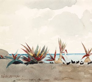  de Winslow Homer