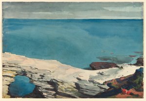  de Winslow Homer