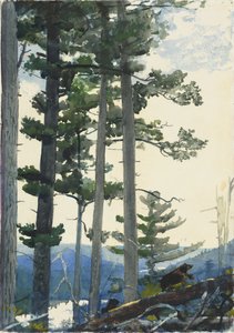 Antiguos colonos de Winslow Homer