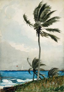Palmera, Nassau, 1898