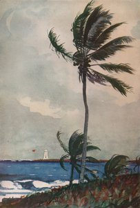 Palmeras, Nassau, 1898, 1932