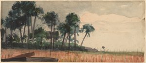 Palmeras, rojo de Winslow Homer