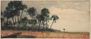  de Winslow Homer