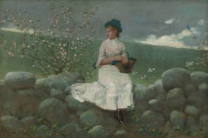 Flores de durazno, 1878 de Winslow Homer