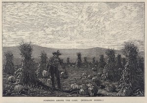 Pumpkins Among the Corn, de Scribner