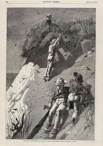 Incursión en una colonia de golondrinas de arena: "¿Cuántos huevos" de Winslow Homer