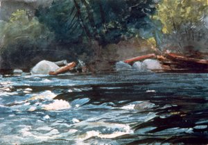 Rápidos, Río Hudson, 1894 de Winslow Homer