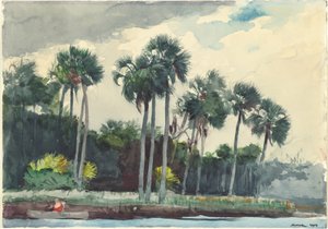 Camisa roja, Homosassa, Florida de Winslow Homer