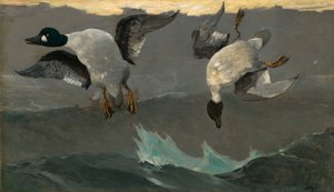 Derecha e izquierda de Winslow Homer