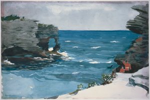  de Winslow Homer