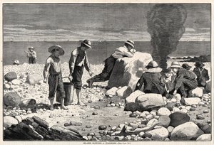  de Winslow Homer