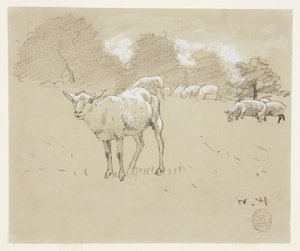 Ovejas pastando en un campo de Winslow Homer