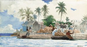 Pescador de esponjas, Bahamas