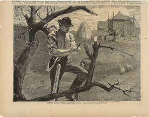 Trabajos agrícolas de primavera