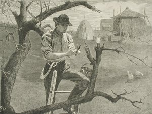  de Winslow Homer