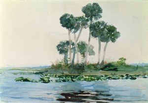 Río St. John