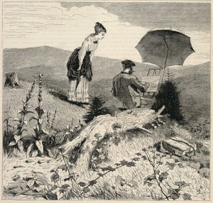 The Artist in the Country, de Appletons