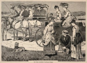 The Picnic Excursion, de Appletons
