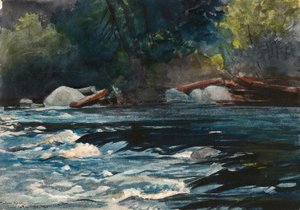Los rápidos, río Hudson, Adirondacks de Winslow Homer