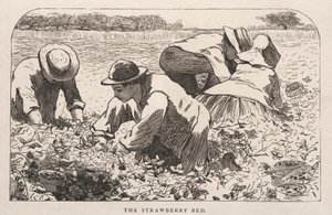 La cama de fresas de Winslow Homer