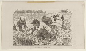 El bancal de fresas de Winslow Homer