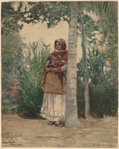 Bajo una Palmera de Winslow Homer