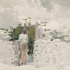 Mujer junto a una verja, Bahamas de Winslow Homer
